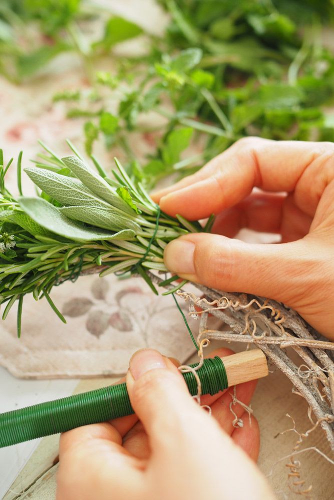 内側・中心・外側の３か所に何本かハーブを置いて、しっかり巻きます