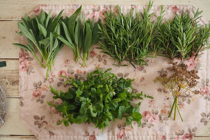 枝葉をすべて７～10cmにカット