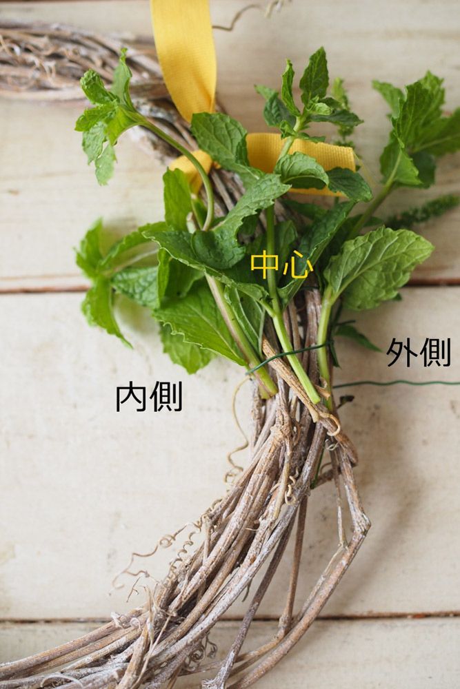 ハーブをリースベースに巻きつけていきます