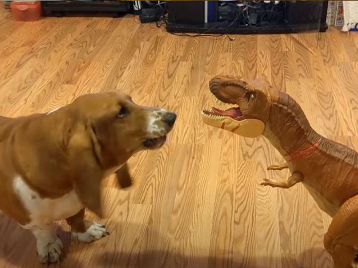 勝敗の行方は…！？