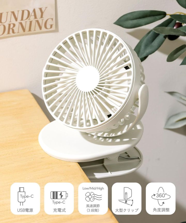 画像2: 出典：3COINS