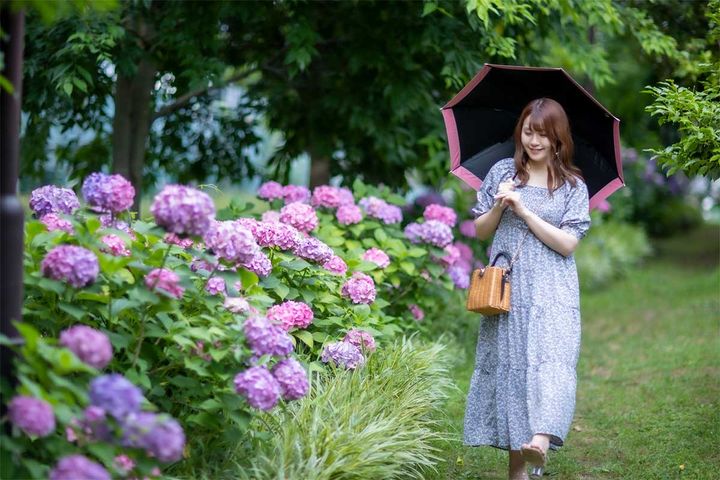 雨の日デートのイメージ