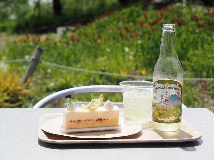 小田原の絶景に囲まれながらゆったりと♪ 絶品スイーツ&ランチを楽しめる「一夜城ヨロイヅカファーム」