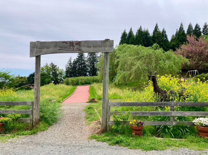 小田原の絶景に囲まれながらゆったりと♪ 絶品スイーツ&ランチを楽しめる「一夜城ヨロイヅカファーム」