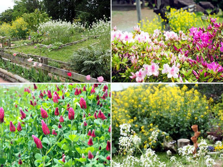 小田原の絶景に囲まれながらゆったりと♪ 絶品スイーツ&ランチを楽しめる「一夜城ヨロイヅカファーム」