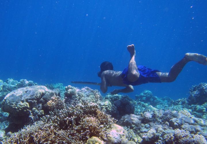 潜水に特化した体へと遺伝的に進化したバジャウ族