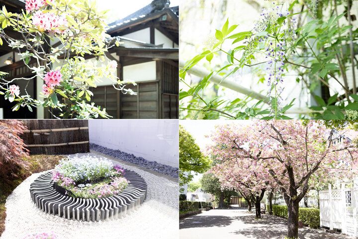 文化や歴史のスケールを体感！「江戸東京たてもの園」レトロ建築めぐり【前編】