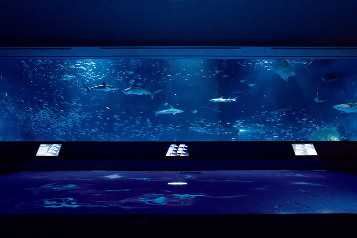 島根〈島根県立しまね海洋館アクアス〉館内