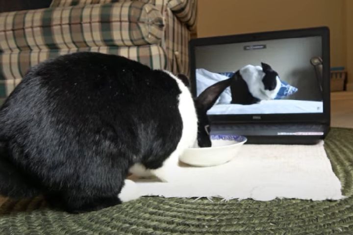 出典：OneMorePlease