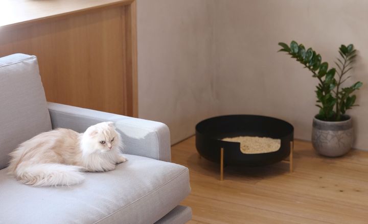 愛猫のためにこだわる。《Katte》のインテリアに馴染むお洒落な猫用トイレが美しい