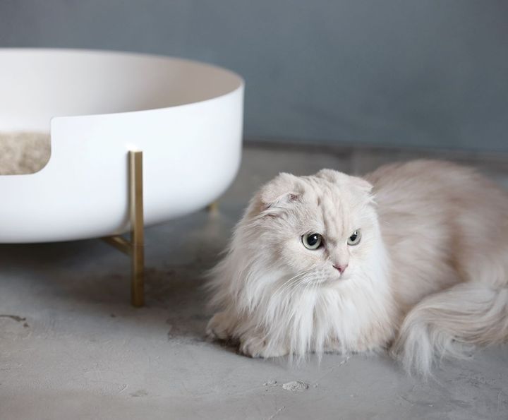 愛猫のためにこだわる。《Katte》のインテリアに馴染むお洒落な猫用トイレが美しい