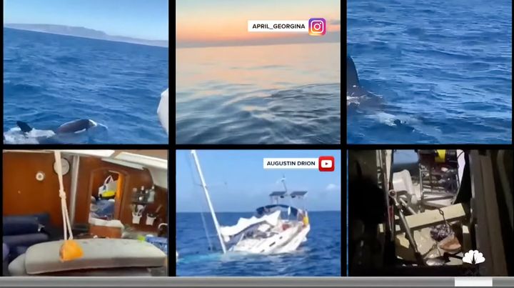 シャチの襲撃で沈み行く船の様子（今回とは別の事例）