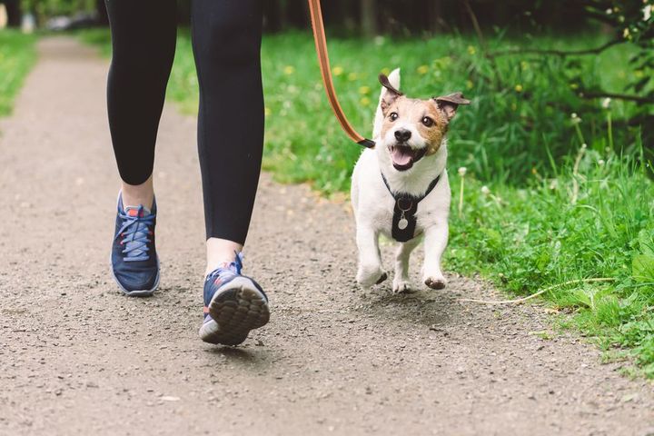 woman running with dog to workout during morning walk