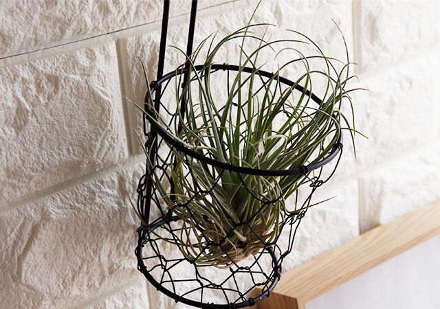 100均セリアの園芸グッズバスケット