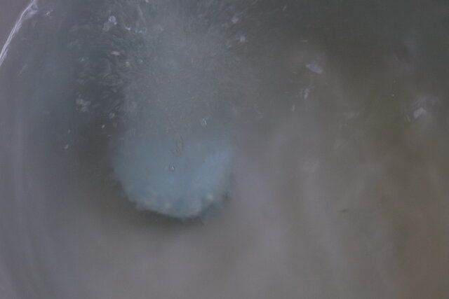 100均ダイソーのサンリオお風呂グッズ