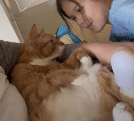 健康診断をはじまーす♪ お医者さんごっこに付き合ってくれる猫さん。