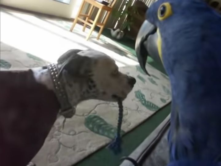 意外な組み合わせだけど仲良しだね〜！