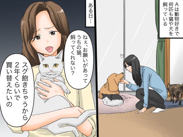 画像: ママ友「この猫、買い替えたいの。いらない？」私「はっ？」【ペットを売りつける非常識ママ】を一喝！