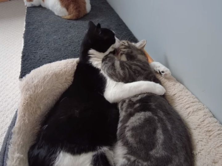 こんなに仲良しだったのに！