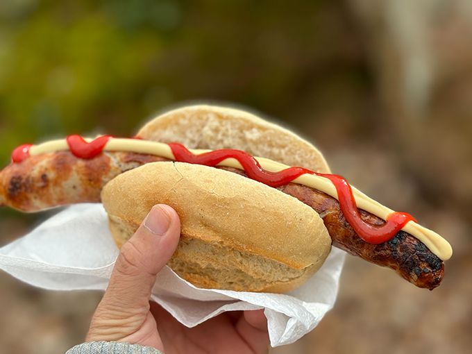 いっけね、観光の目玉はこっちだった！ お城見て、ルターなご飯を食べに行こう！・後編【教えて！世界の子育て～ドイツ～】の画像2