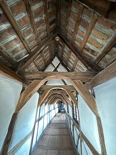 いっけね、観光の目玉はこっちだった！ お城見て、ルターなご飯を食べに行こう！・後編【教えて！世界の子育て～ドイツ～】の画像13