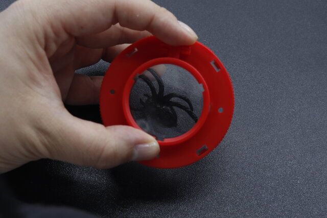 セリアの拡大鏡付き 昆虫観察ケースに入ったクモフィギュア