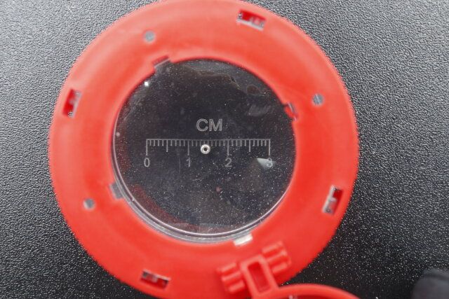 セリアの拡大鏡付き 昆虫観察ケースのレンズ