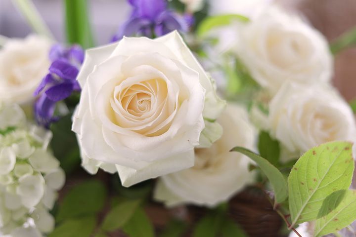 バスケットアレンジ