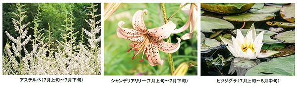 ROKKO 森の音ミュージアム