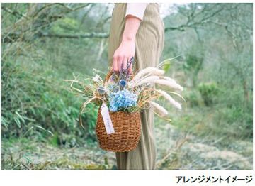 ROKKO 森の音ミュージアム