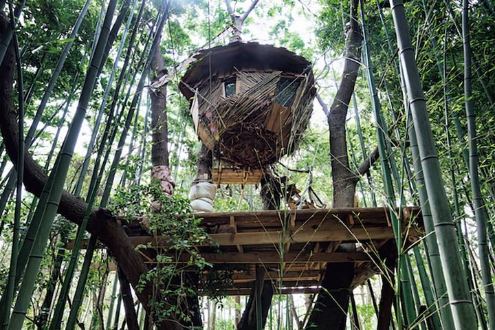 長崎県の田島のツリーハウス