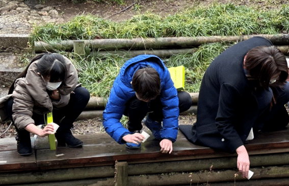 自然学習の画像