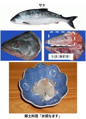 プロテオグリカン