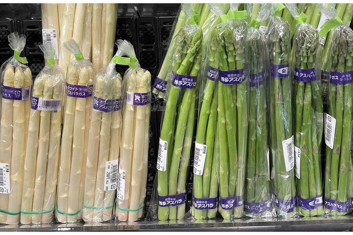 ▲野菜売り場のアスパラガス。正直、オス・メスの見分けは難しいです。
