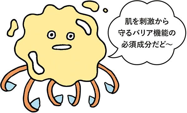 セラミド イラスト 「肌を刺激から守るバリア機能の必須成分だど～」
