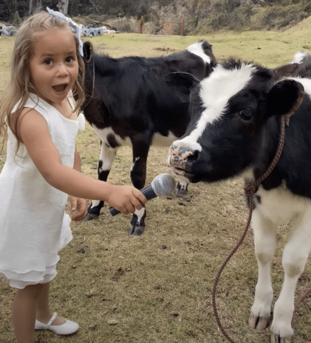 もー！反応が可愛すぎ！ 女の子が子牛にインタビューをしてみたら