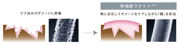 ダメージヘア図式画像