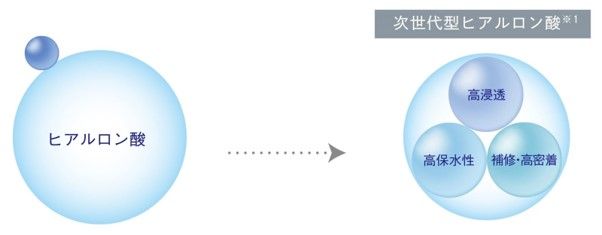保水力の図式画像