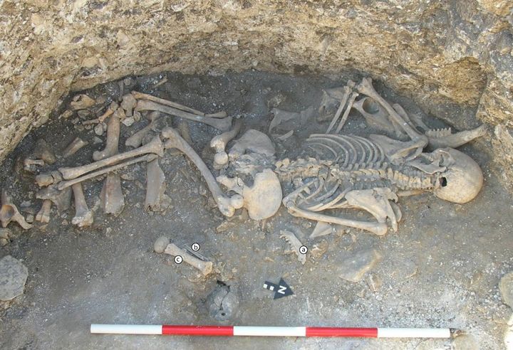 他の丁重な埋葬とは違い、雑に放置されていた