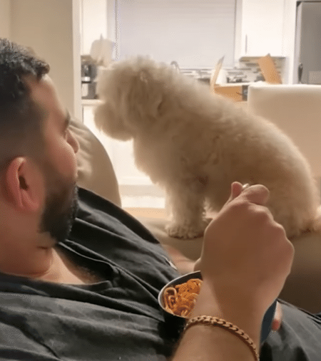 「別に欲しいわけじゃないからね！」 ごはんを見ても強がる犬さん。