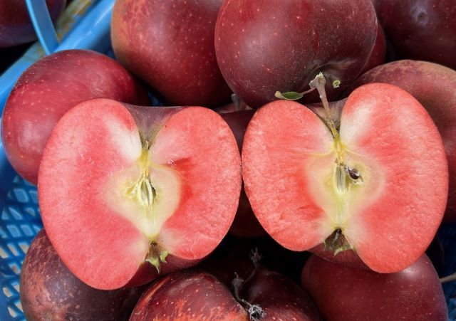 赤果肉リンゴ キルトピンク