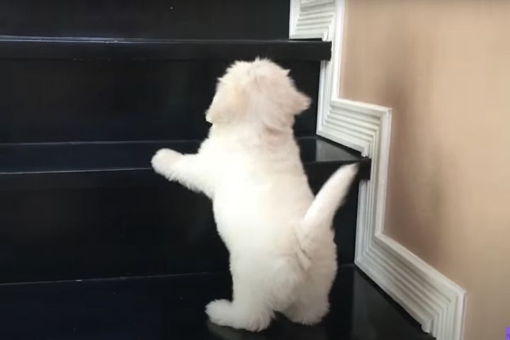 出典：Taiwander Woman