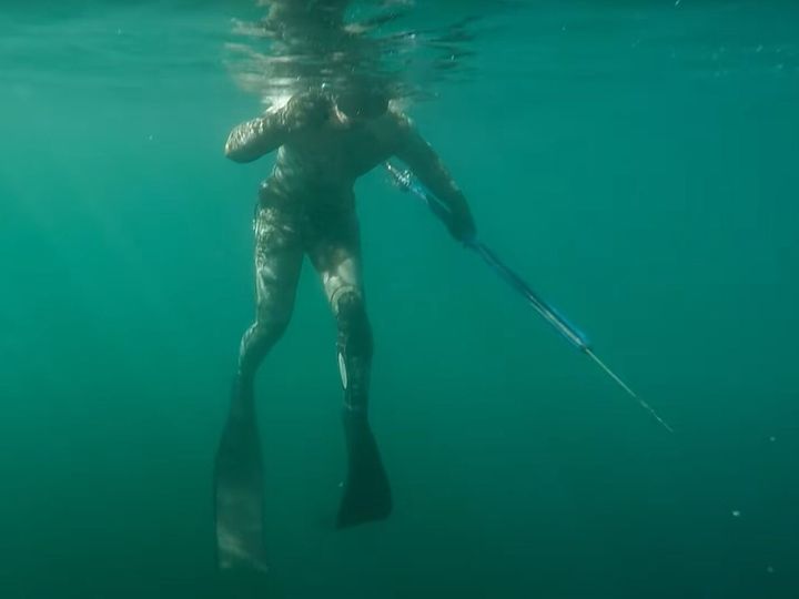 ダイビング中の投稿者