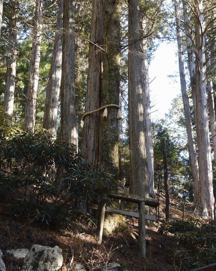 強い“気”が流れる関東有数のパワースポット、秩父・三峯神社へおでかけ