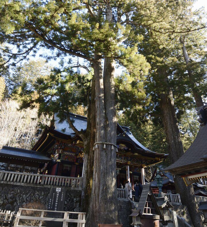 強い“気”が流れる関東有数のパワースポット、秩父・三峯神社へおでかけ