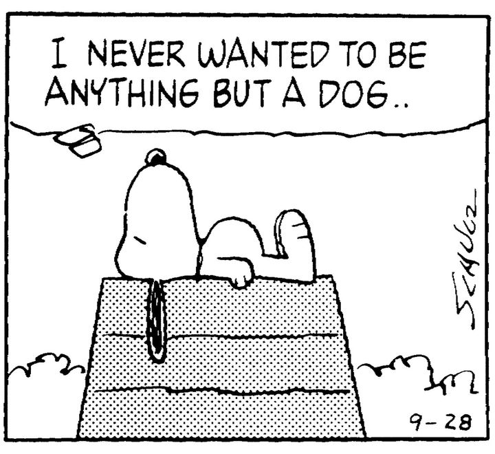 漫画『ピーナッツ』