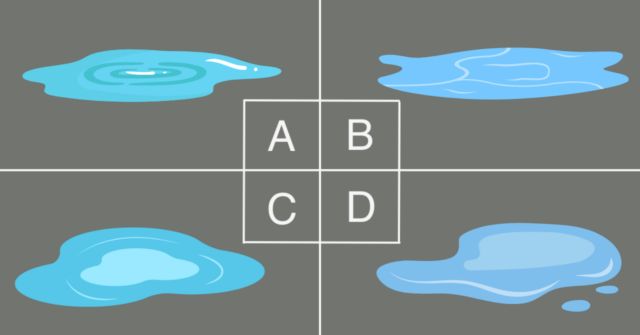 どの水たまり？【心理テスト】対人関係でのリーダーシップを診断！