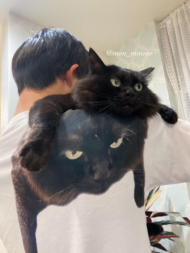 肩に担がれて嬉しそうな黒猫もんちゃん