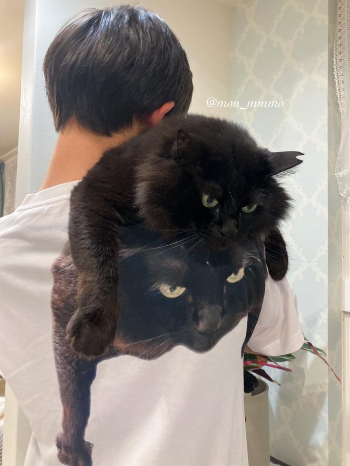 完全に一致】猫のプリントTシャツを着たご主人に背負われる黒猫