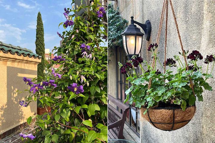 小笠原伯爵邸の屋上庭園